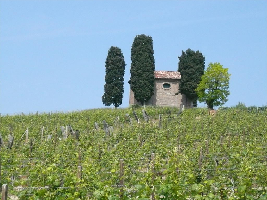 Agriturismo Relais "Il Bricco" Villa Nizza Monferrato Dış mekan fotoğraf