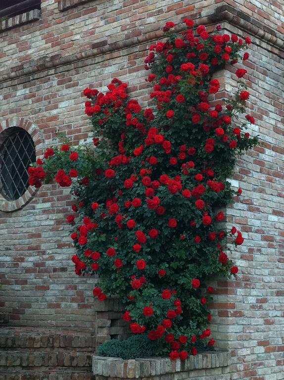 Agriturismo Relais "Il Bricco" Villa Nizza Monferrato Dış mekan fotoğraf