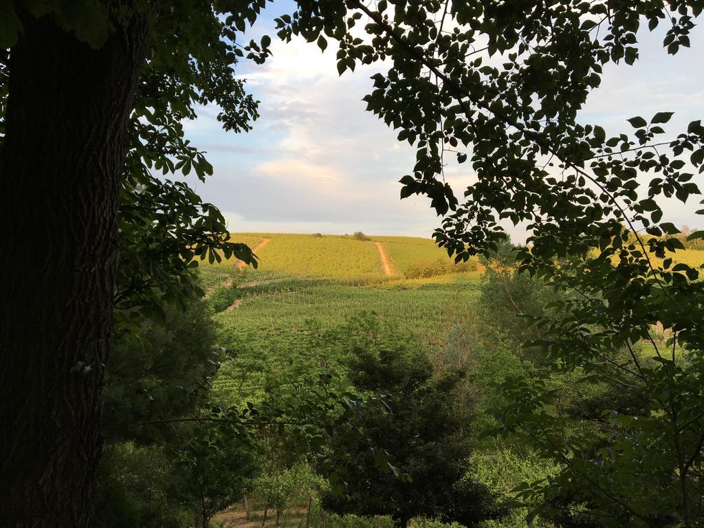 Agriturismo Relais "Il Bricco" Villa Nizza Monferrato Dış mekan fotoğraf